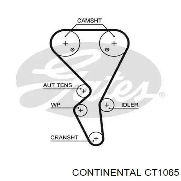 ГРМ ремінь Continental/Siemens CT1065