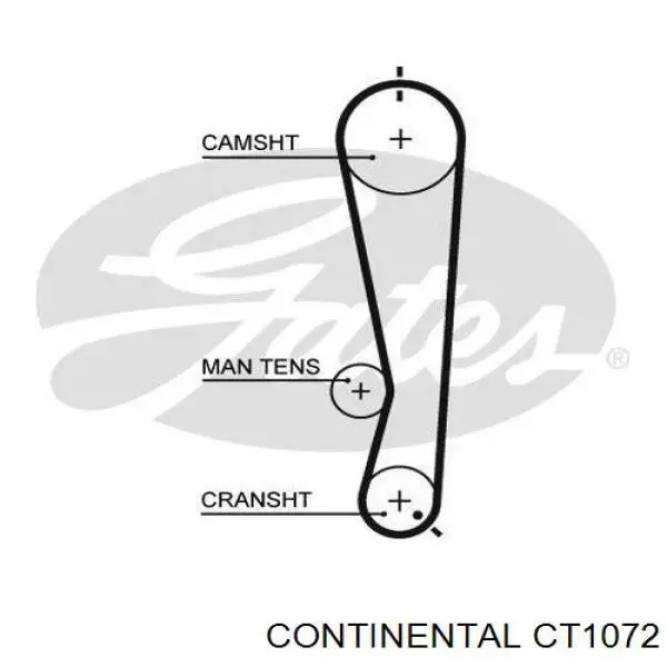 CT1072 Continental/Siemens Ремінь двигуна