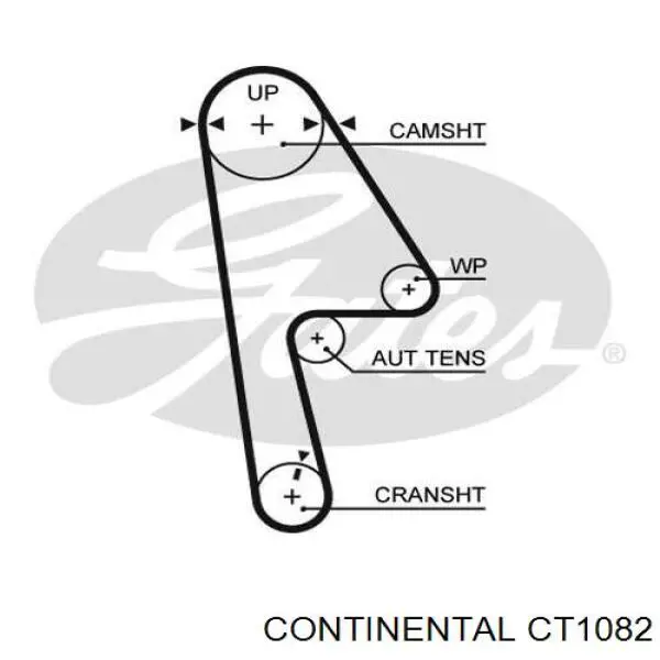 CT1082 Continental/Siemens ремінь грм