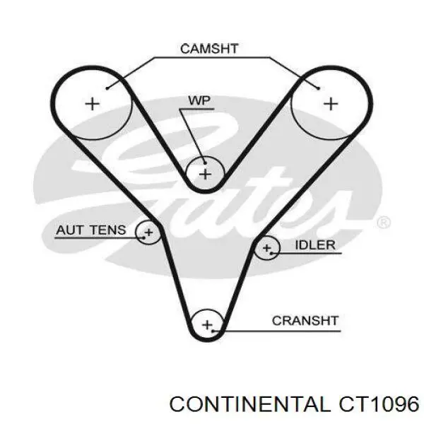 Ремінь ГРМ CT1096 Continental/Siemens