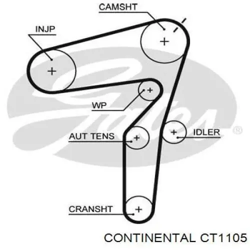 ГРМ ремінь Continental/Siemens CT1105