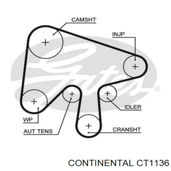 CT1136 Continental/Siemens Ремінь двигуна