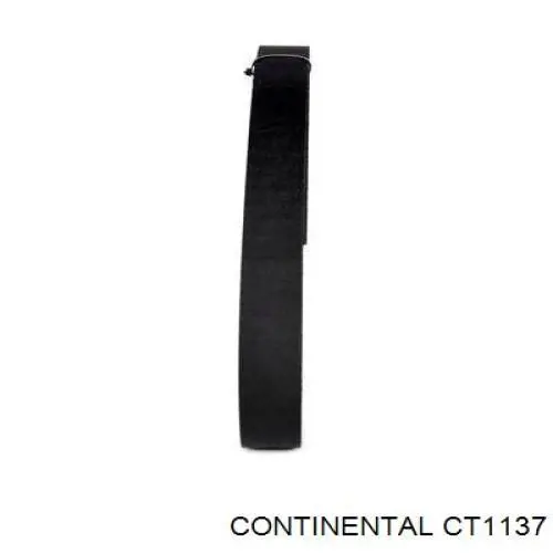 CT1137 Continental/Siemens ремінь грм