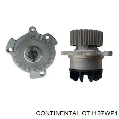 CT1137WP1 Continental/Siemens Ремінь ГРМ, комплект