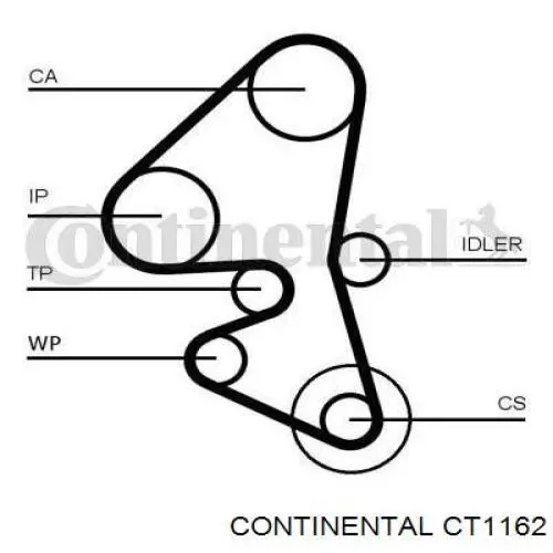 CT1162 Continental/Siemens ремінь грм
