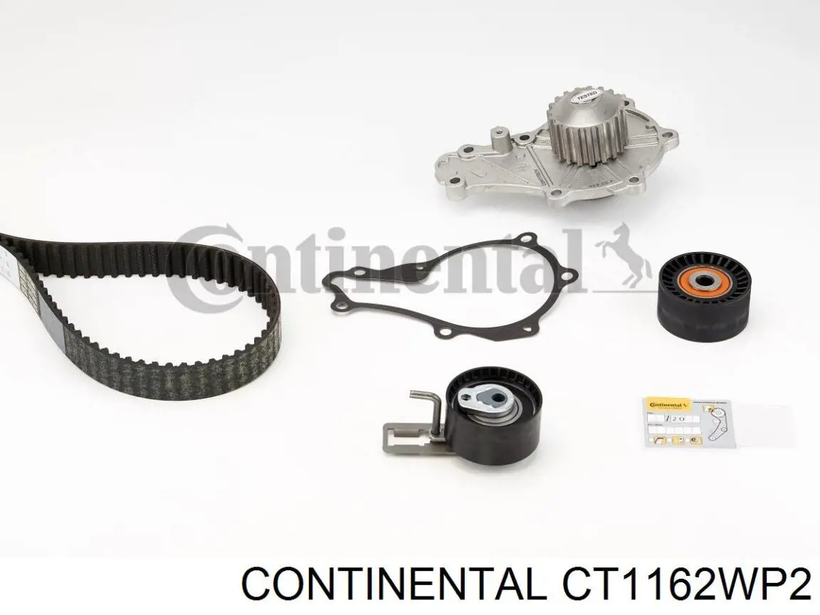 Купити CT1162WP2 Continental/Siemens ГРМ ремень