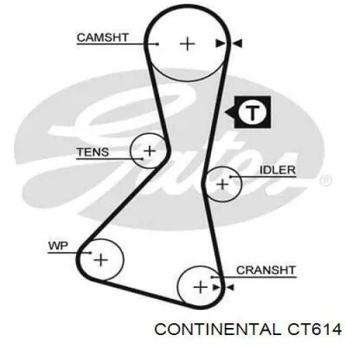 CT614 Continental/Siemens ремінь грм