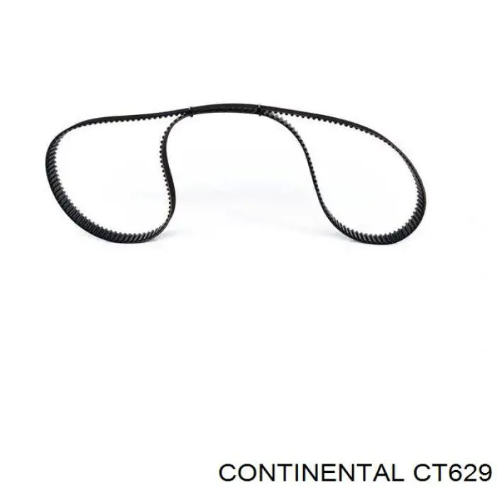 CT629 Continental/Siemens Ремінь двигуна