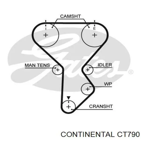 CT790 Continental/Siemens ремінь грм