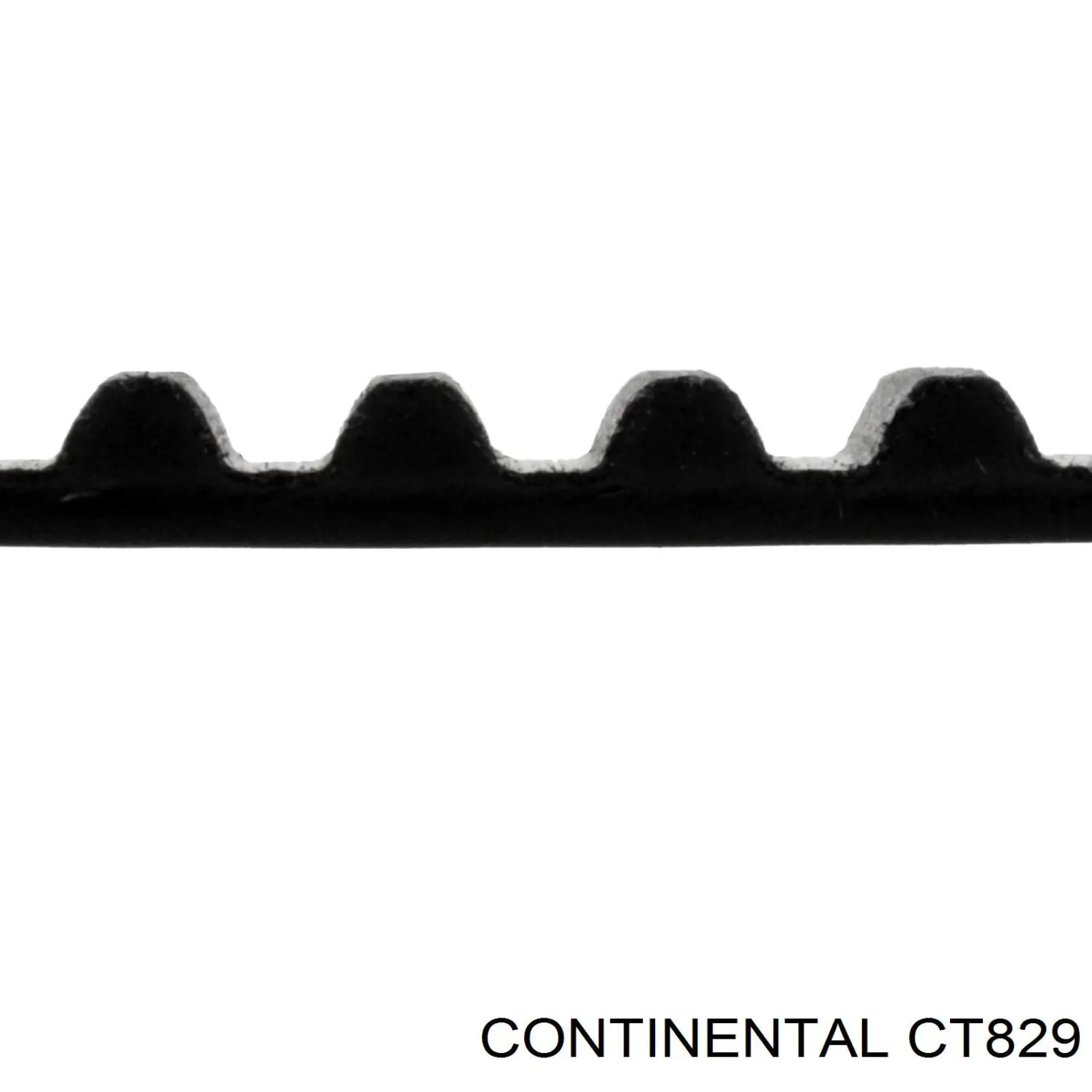 Ремінь ГРМ CT829 Continental/Siemens