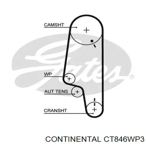 Комплект ГРМ CT846WP3 Continental/Siemens