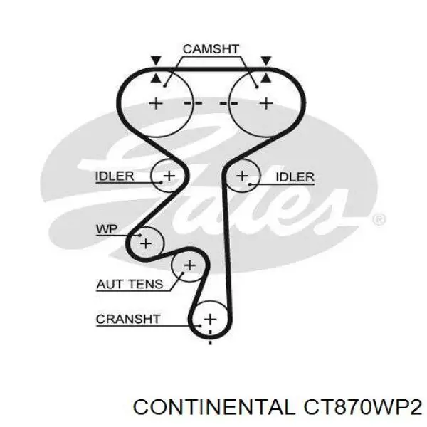 Комплект ГРМ CT870WP2 Continental/Siemens