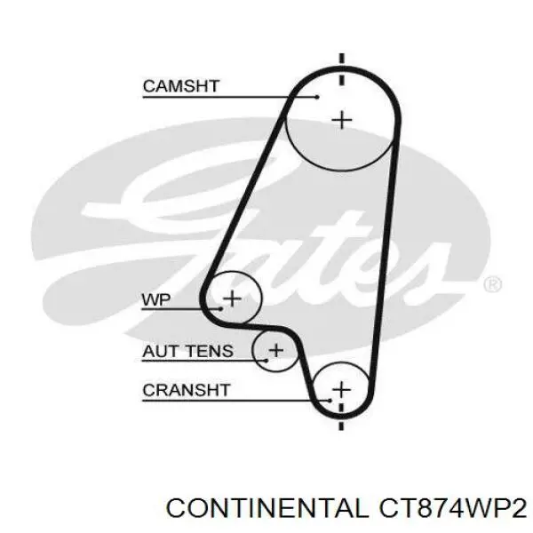 Комплект ГРМ Continental/Siemens CT874WP2 ціна, від 74.11 USD