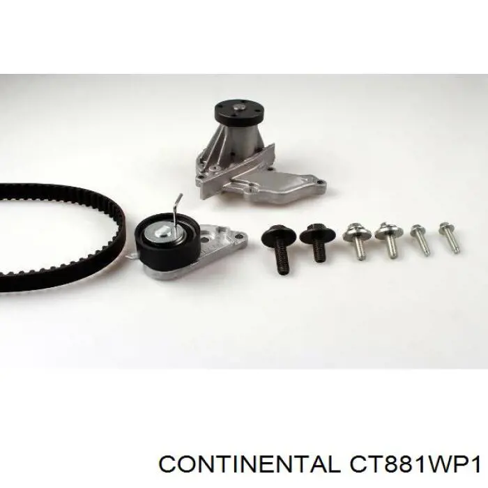 CT881WP1 Continental/Siemens Ремінь ГРМ, комплект