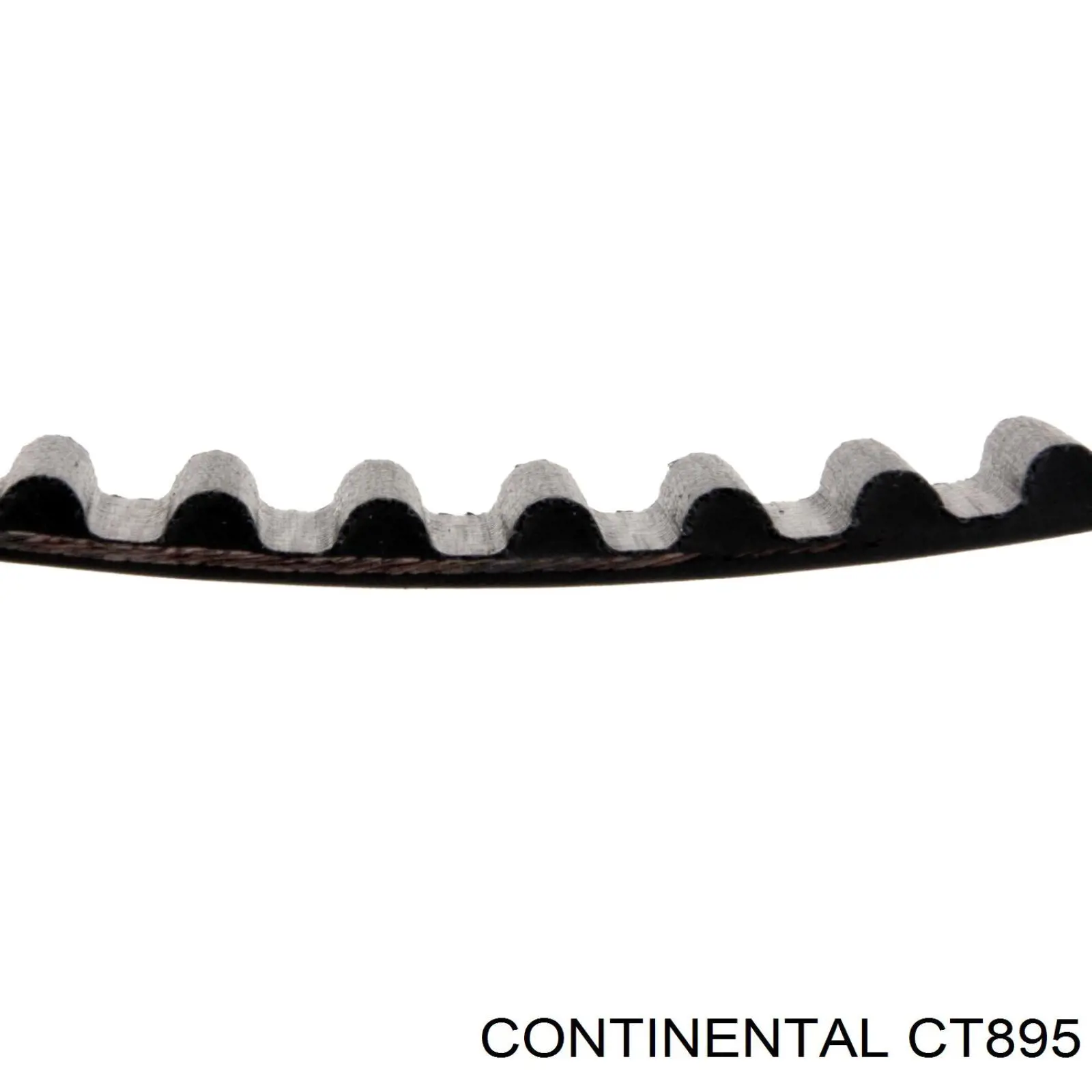 Ремінь ГРМ CT895 Continental/Siemens