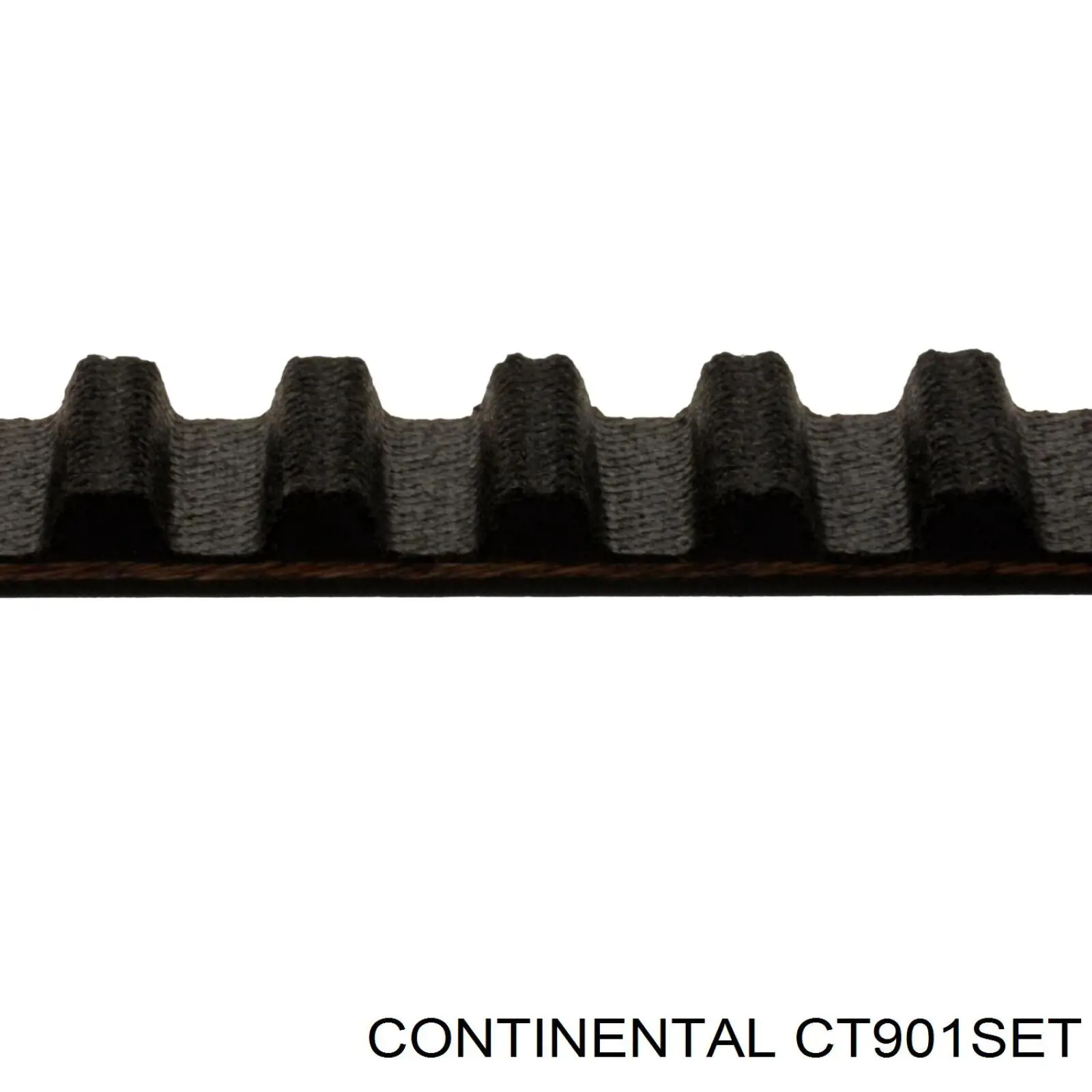 Купити CT901SET Continental/Siemens Ремінь газорозподільного механізму