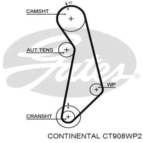Комплект ГРМ CT908WP2 Continental/Siemens