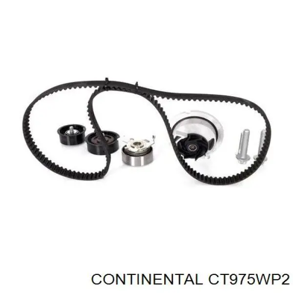 CT975WP2 Continental/Siemens Ремінь ГРМ, комплект