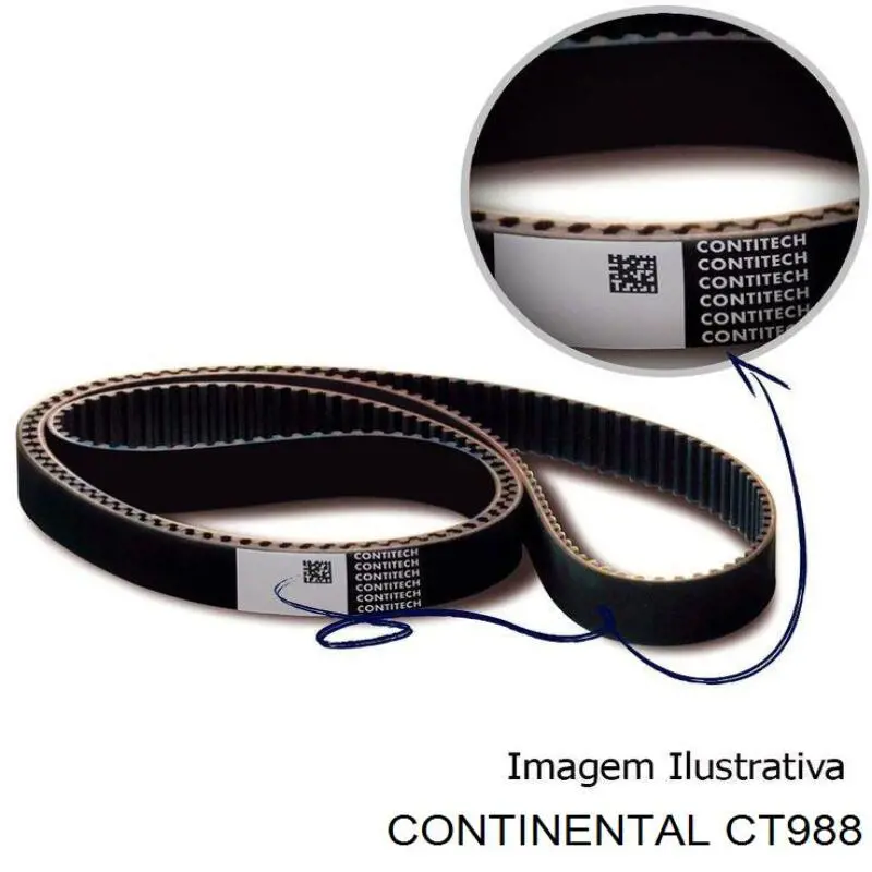 Ремінь ГРМ CT988 Continental/Siemens