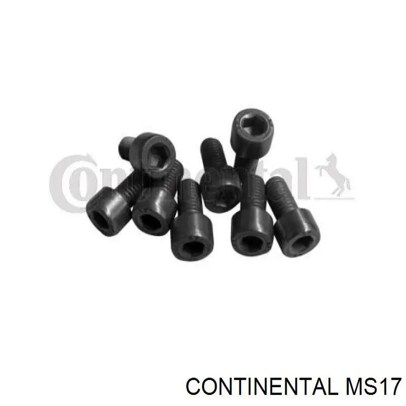 Болт колінвалу Continental/Siemens MS17 ціна, від 6.56 USD
