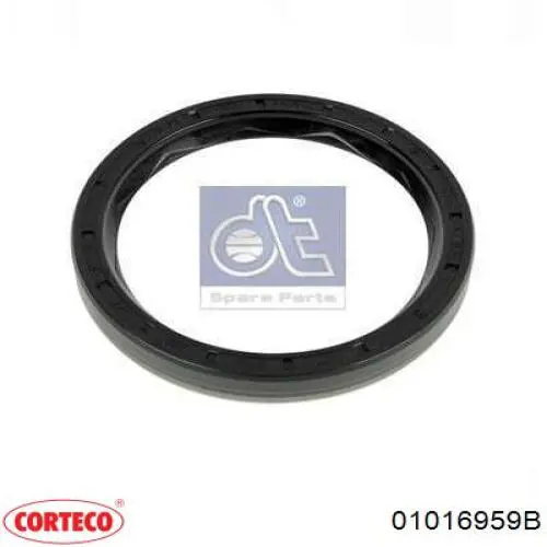 Купити 01016959B Corteco Сальник задньої маточини