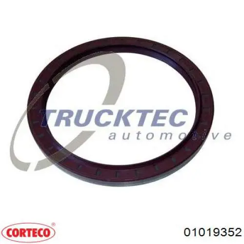 Купити 01019352 Corteco Сальник задньої маточини