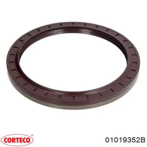 Сальник задньої маточини, зовнішній 01019352B Corteco
