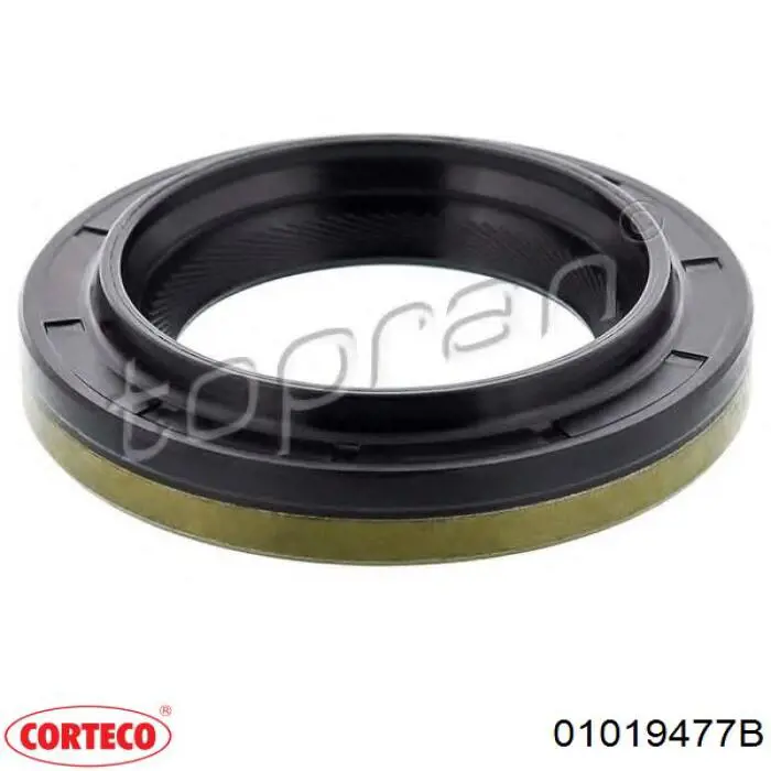 Сальник хвостовика 01019477B Corteco