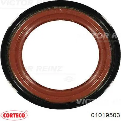 Ущільнювальне кільце, універсальне Corteco 01019503 ціна, від 7.10 USD