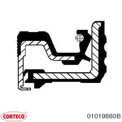 Сальник передньої маточини 01019880B Corteco
