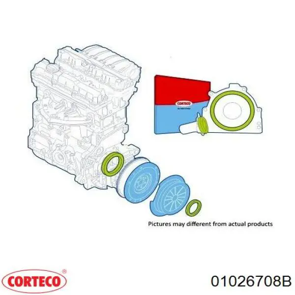 Сальник АКПП/КПП, вхідного/первинного валу 01026708B Corteco