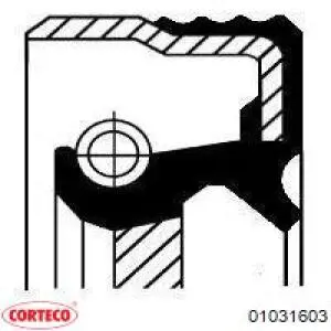 Сальник хвостовика 01031603 Corteco