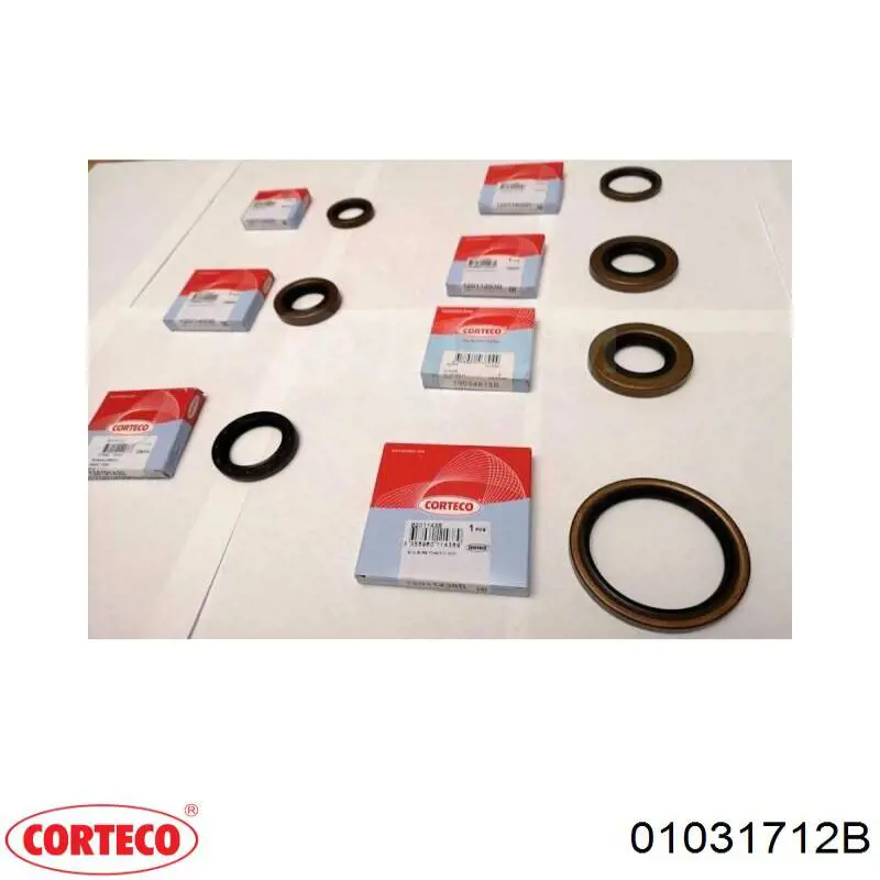Ремкомплект гальмівного вала (тріскачки) 1349089 Scania