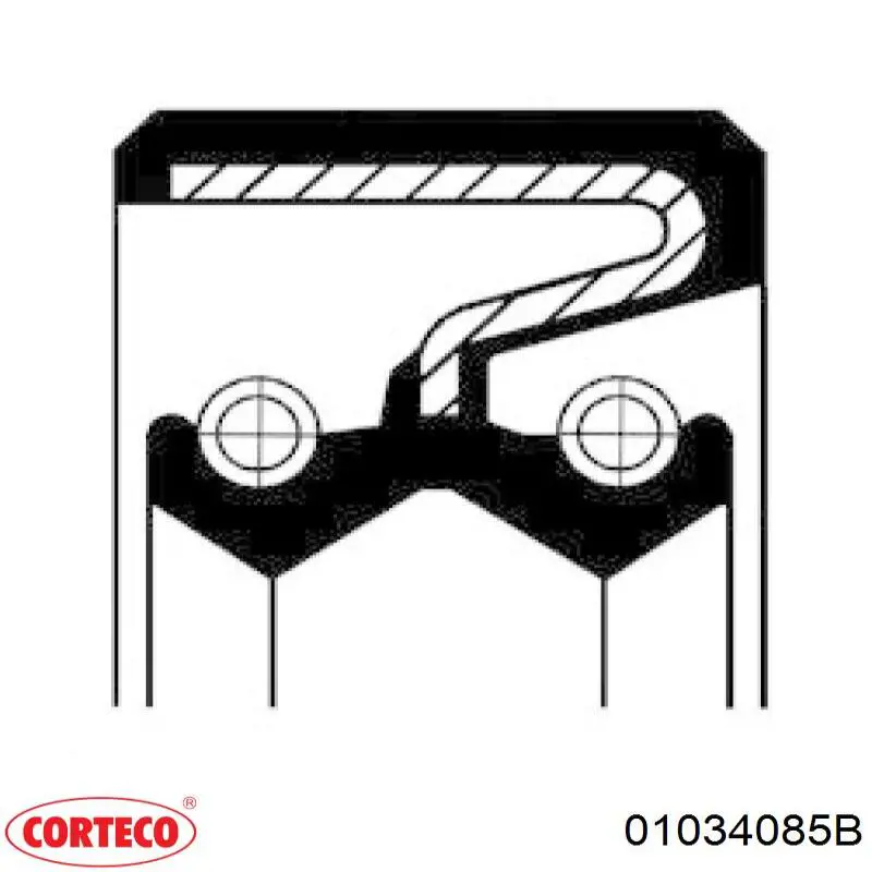  01034085B Corteco