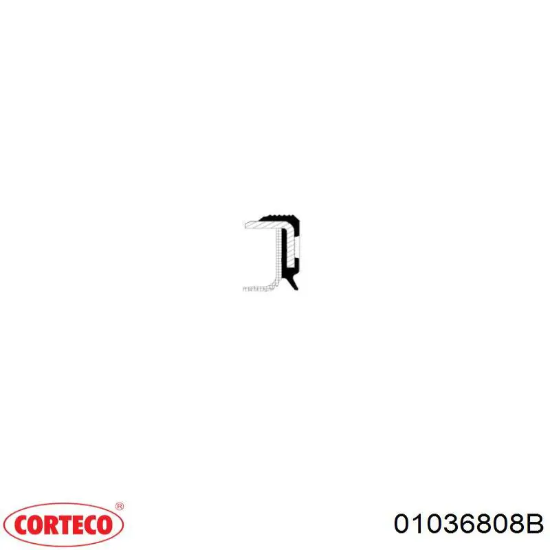 01036808B Corteco Ущільнювальне кільце, універсальне