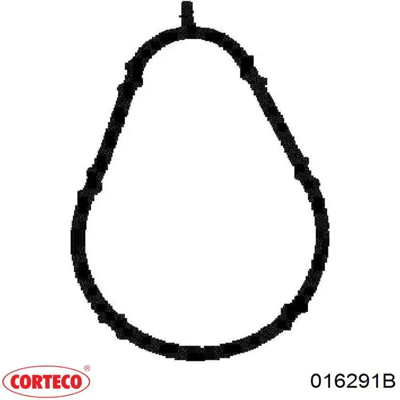 Купити 016291B Corteco Болт гбц