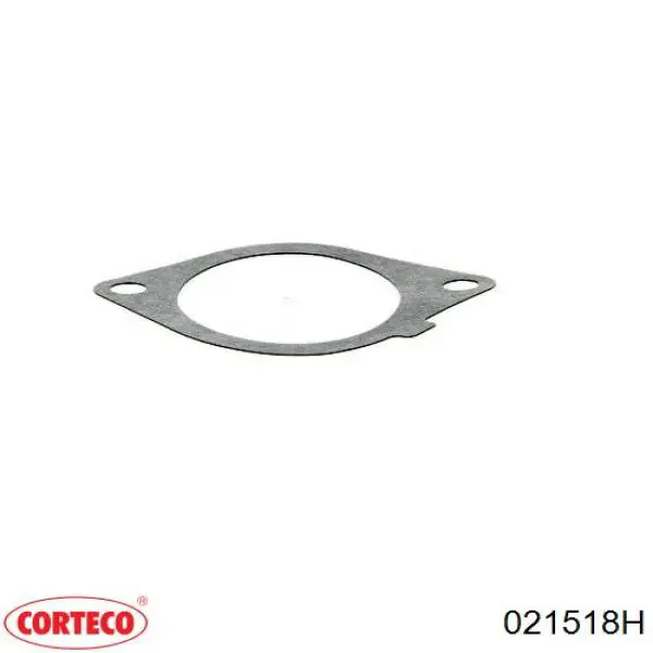 Купити Прокладка дросельної заслінки Fiat Ducato II 244