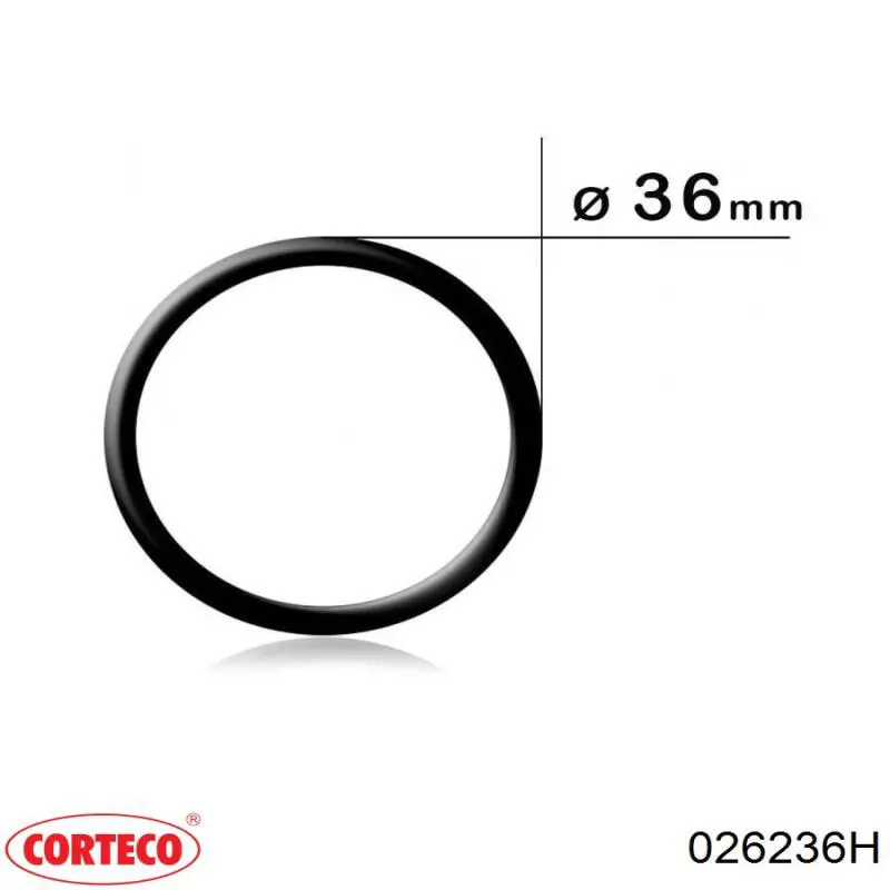 026236H Corteco прокладка впускного колектора