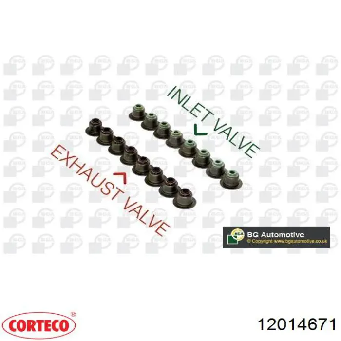 12014671 Corteco сальник клапана (маслознімний, впуск/випуск)