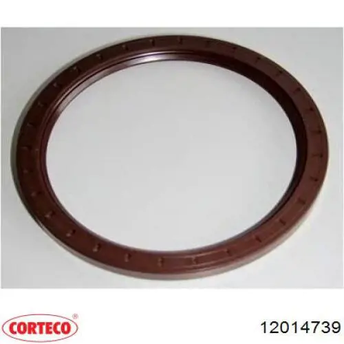 Сальник задньої маточини, зовнішній Corteco 12014739 ціна, від 6.11 USD
