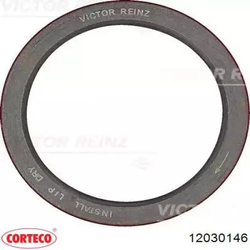 Купити 12030146 Corteco Сальник АКПП/КПП, вхідного/первинного валу