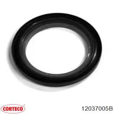 Сальник колінвала двигуна, задній Corteco 12037005B ціна, від 12.95 USD