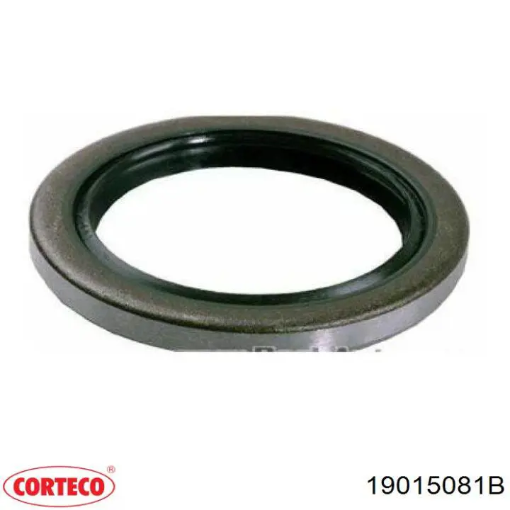 Купити 19015081B Corteco Сальник задньої маточини