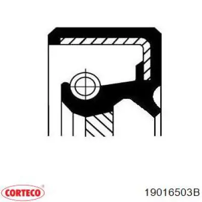 Сальник колінвала двигуна, задній Corteco 19016503B ціна, від 12.48 USD