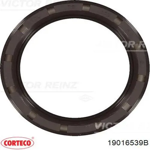Сальник колінвала двигуна, задній Corteco 19016539B ціна, від 8.86 USD