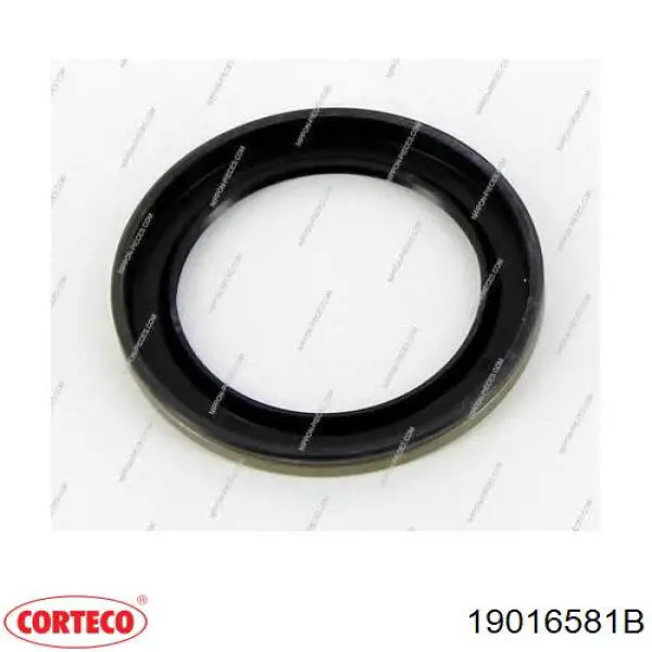 Купити 19016581B Corteco Сальник задньої маточини