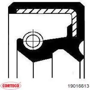 19016613 Corteco 
