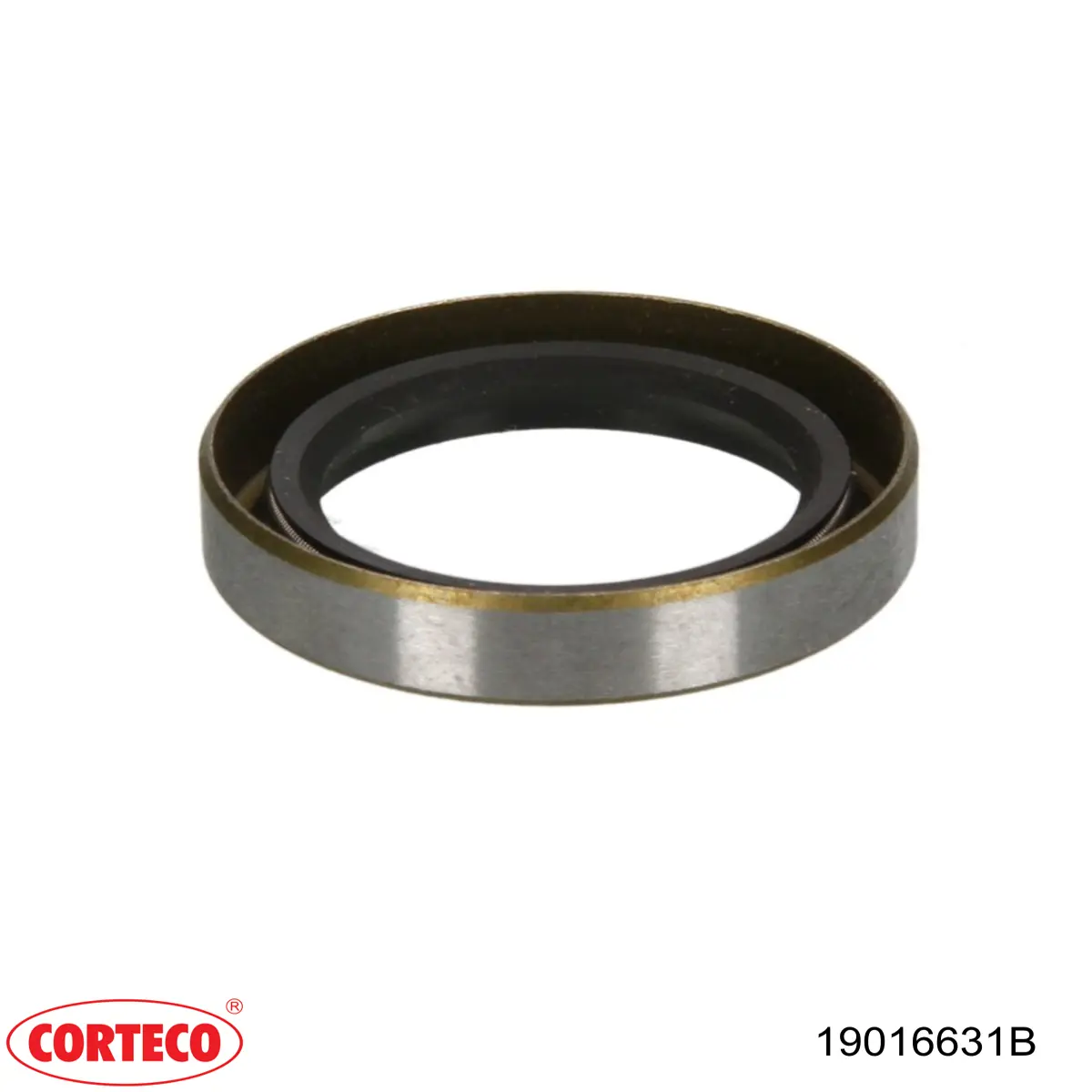  19016631 Corteco