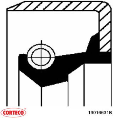  19016631B Corteco