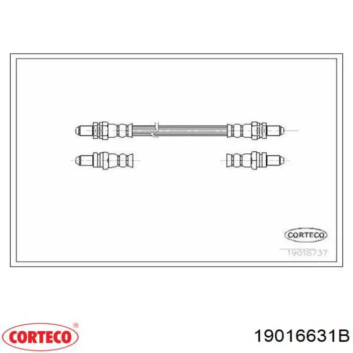 Купити 19016631 Corteco 